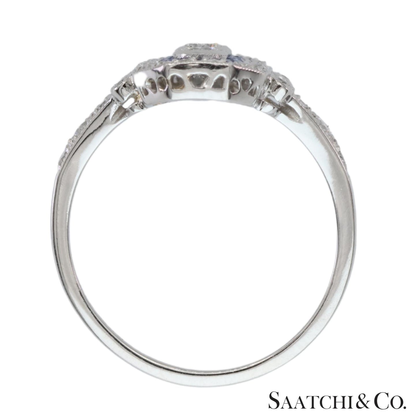 Platinum (950) Natural Diamond and Natural Sapphire Elegant Ring