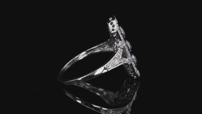 Platinum (950) Natural Diamond and Natural Sapphire Elegant Ring